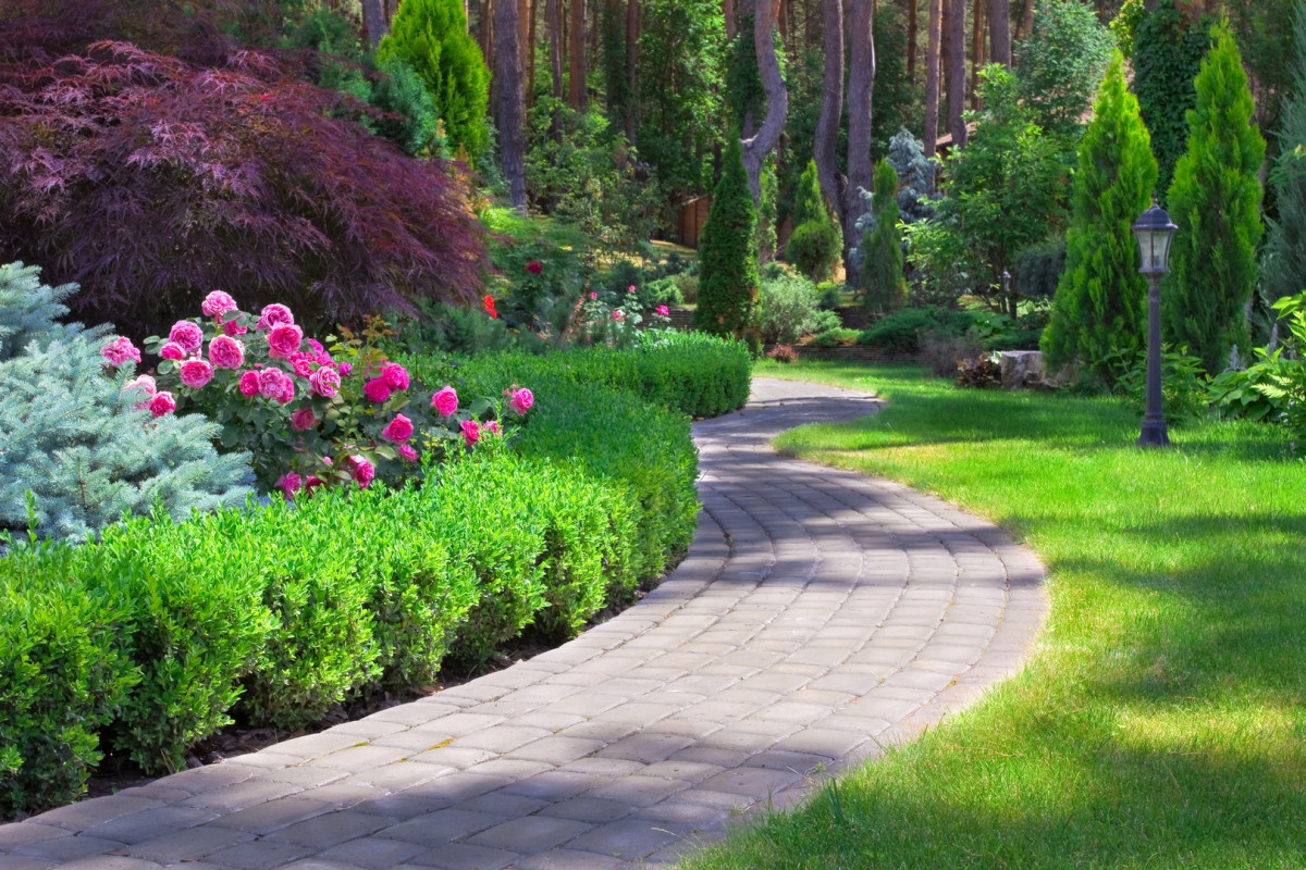 NATURE'INNOV