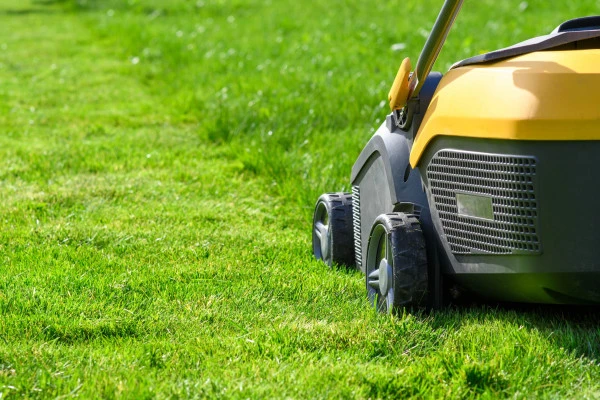 Engazonnement de jardin et entretien de pelouse  