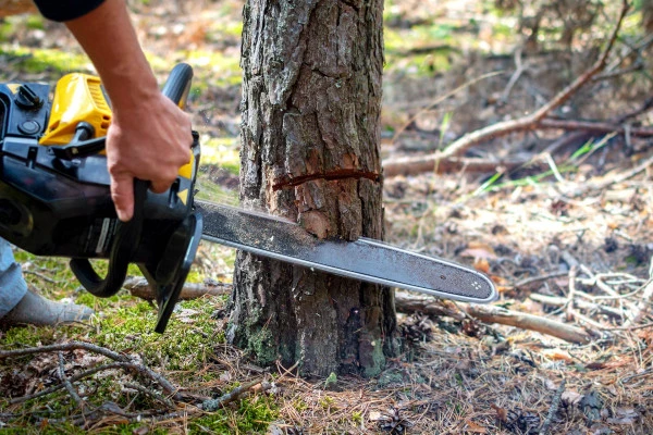 Jardinier paysagiste pour entretenir une pelouse et procéder à de l'élagage  