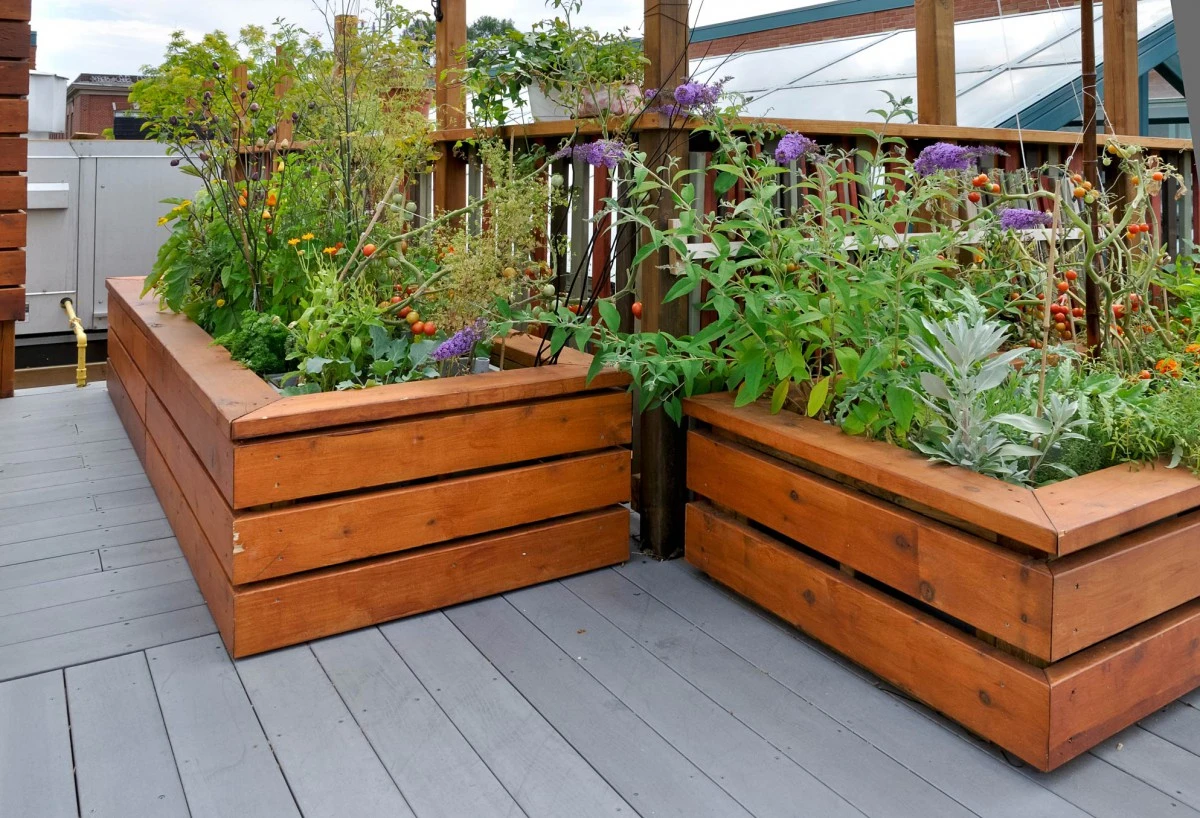 Conception de jardinière en bois à Bagneux